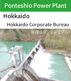 Ponteshio Power Plant